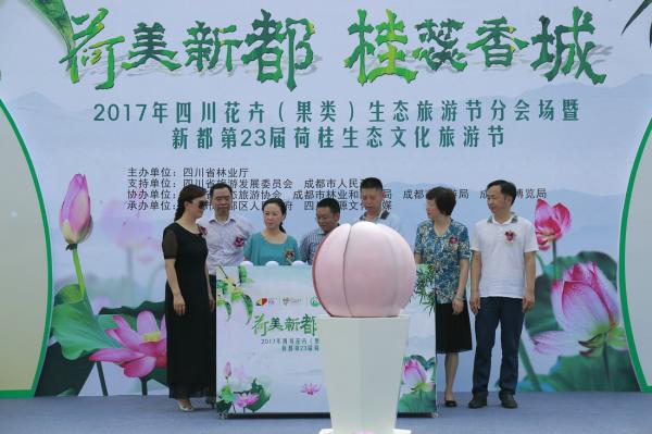 成都活動策劃公司分享營銷策劃方案包含哪些內容？